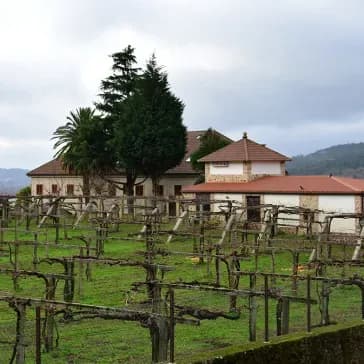 Bodega Pazo De Arreten Vermuteria St Petroni
